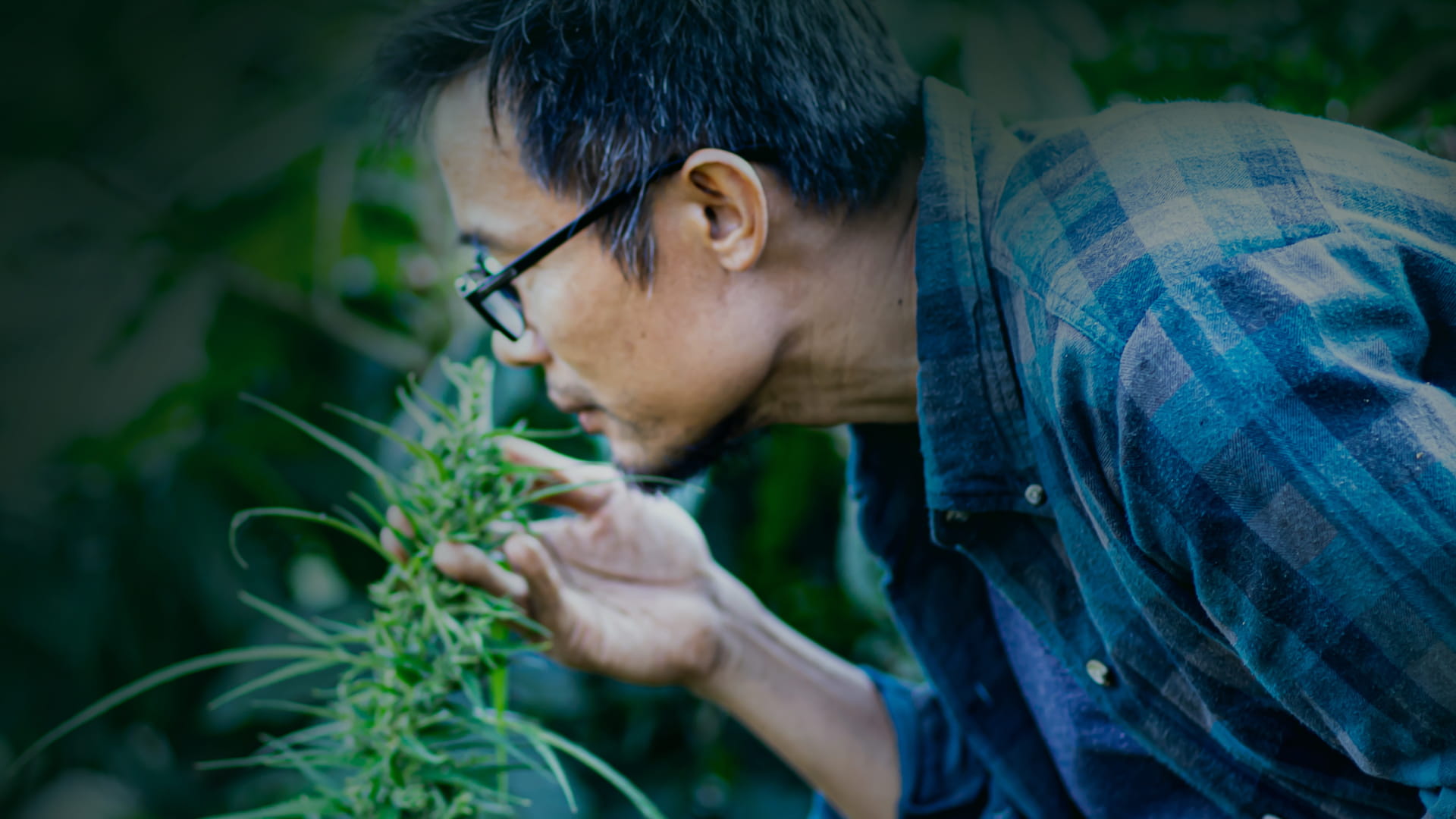 The cannabis industry ushers in diversity and inclusion