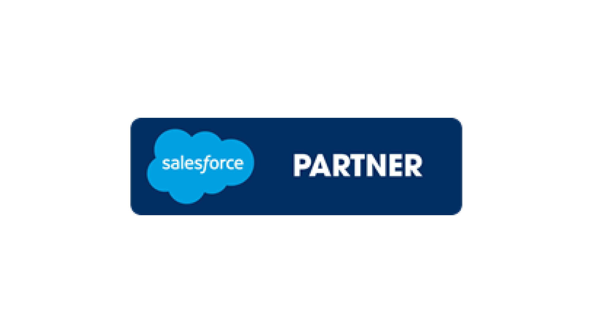 Salesforce partner