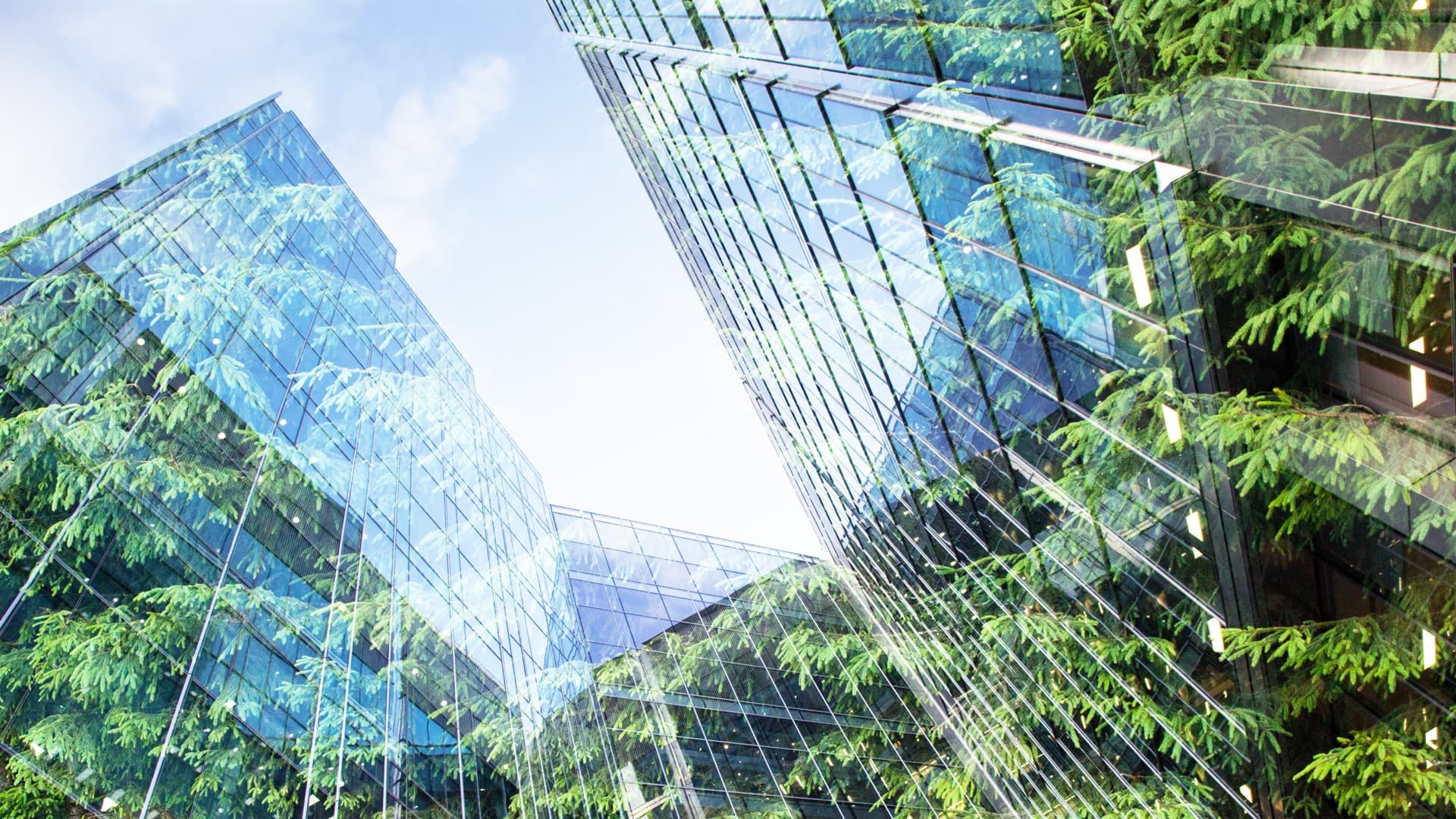 Resources for your ESG strategy